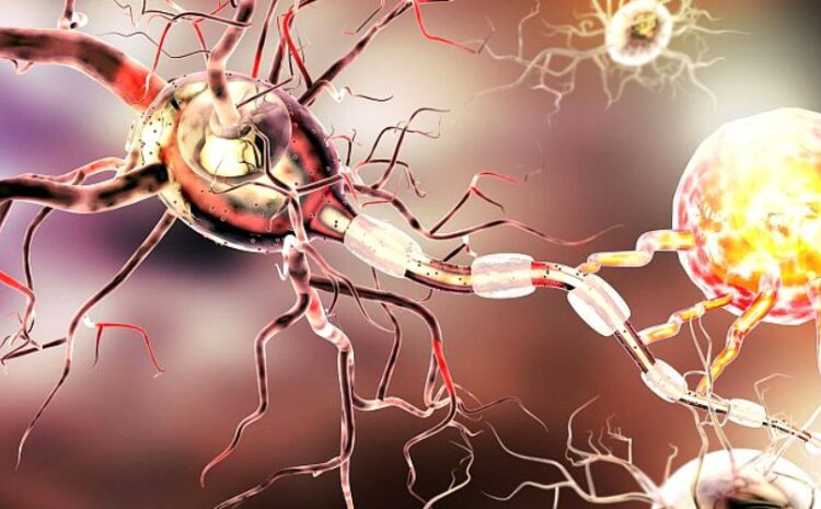  Cum se pot trata chirurgical 3 probleme grave pediatrice: TUMORILE CEREBRALE, EPILEPSIA si SPASTICITATEA